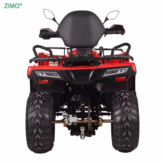 250cc 스포츠 ATV 레이싱 쿼드