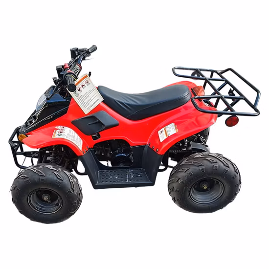 어린이를 위한 뜨거운 판매 체인 드라이브 자동 쿼드 자전거 110cc ATV