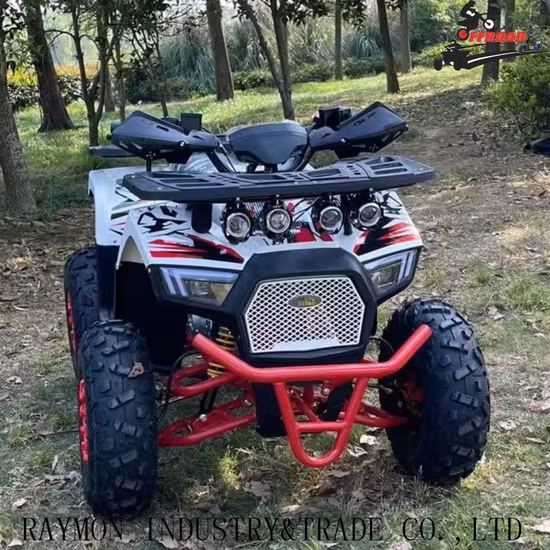 2023 새로운 듄 버기 오토바이 ATV 쿼드 200cc ATV